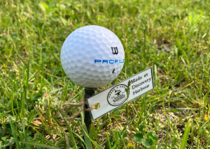 blacksmith crafted metal golf tee in grass with gold ball on top