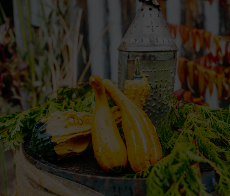 Decorative gourds on the historic site