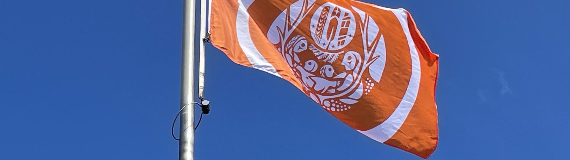 The survivor flag in front of a blue sky