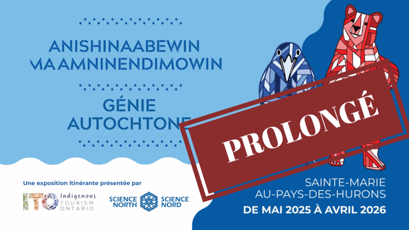 Anishinaabewin Maamninendimowin - Génie Autochtone logo
